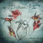 Driftwood Fire – How to Untangle a Heartache [LP]